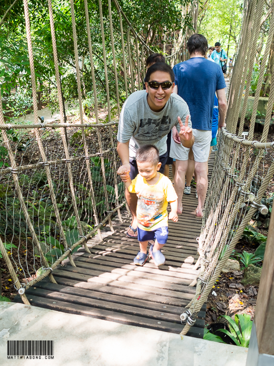 Papa! Stop jumping on the bridge!