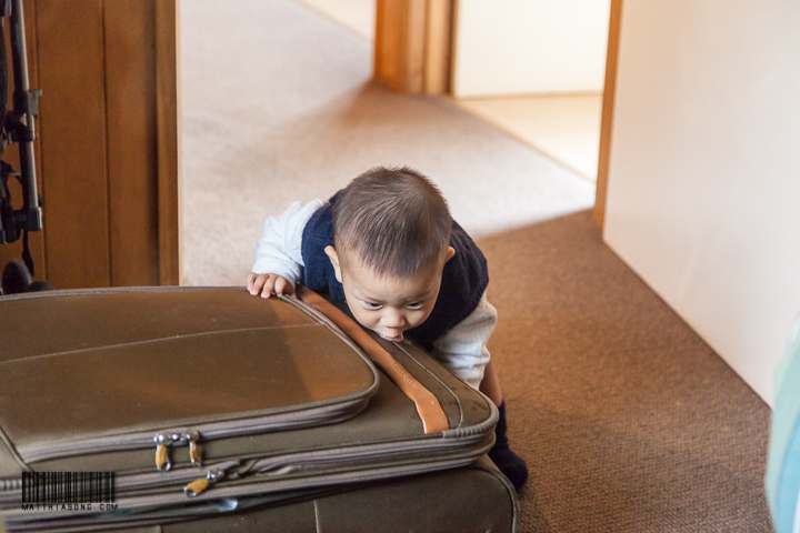 I love to eat suitcases!