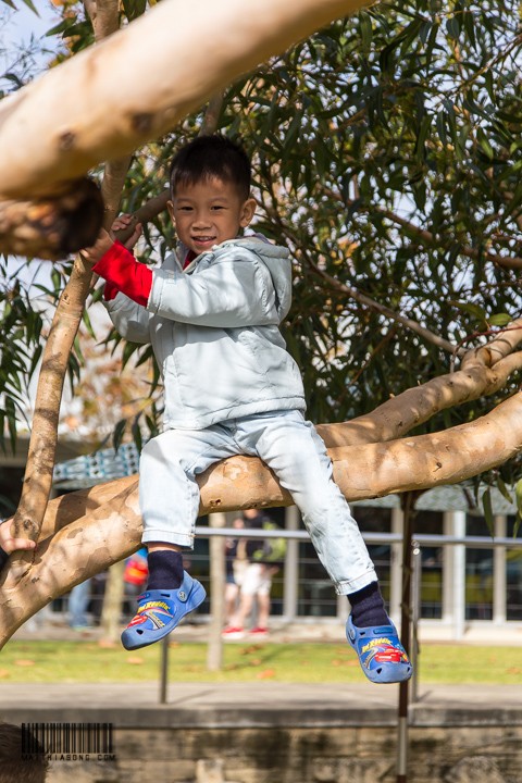 I can climb a tree!