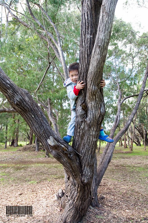 I can climb!