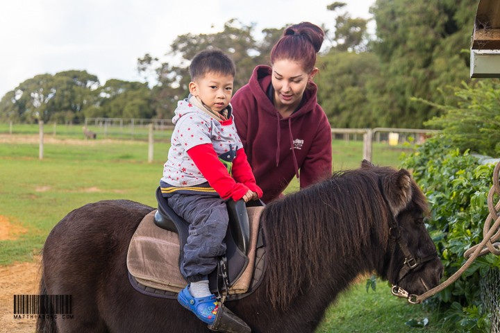 Getting ready for the pony ride