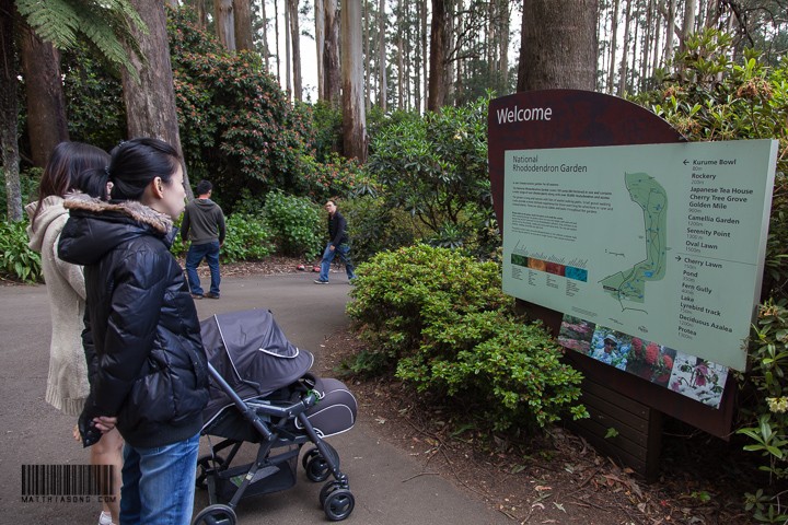 Visiting the botanica gardebs