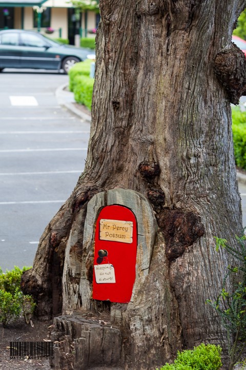 Tree house for squirrels?